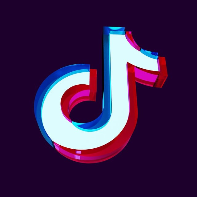 TikTok6